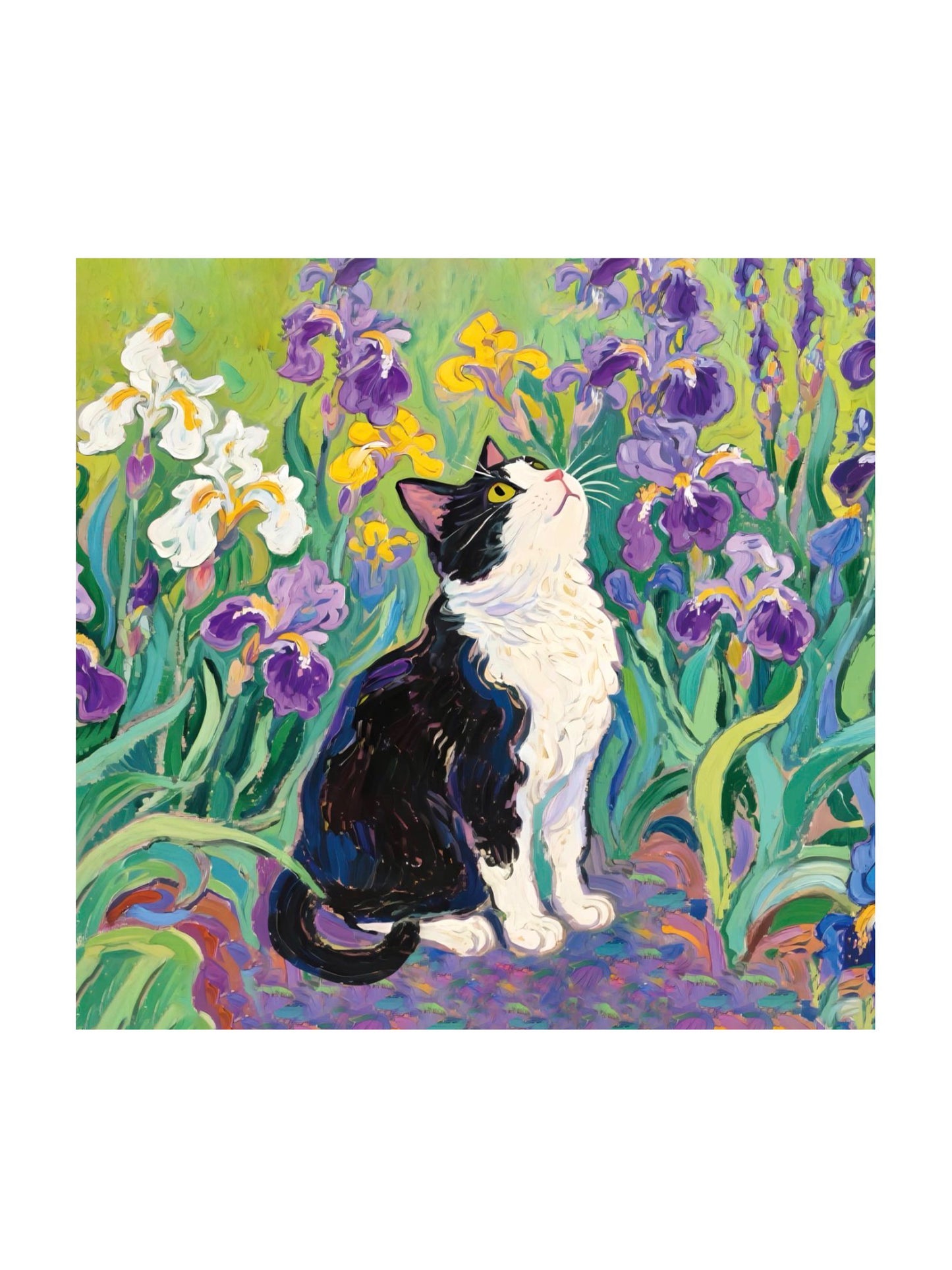 Pañuelo 70X70 (V°52)