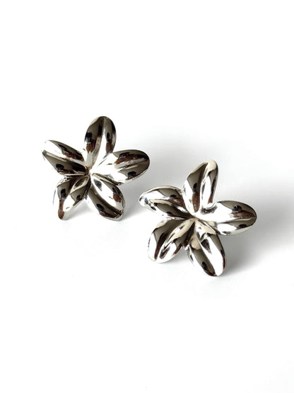 Aros de acero modelo #907 plateado