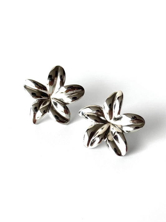 Aros de acero modelo #907 plateado