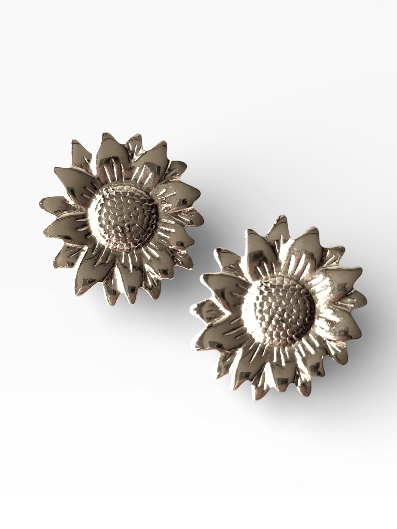 Aros de acero modelo #9213 plateado