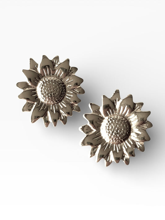 Aros de acero modelo #9213 plateado