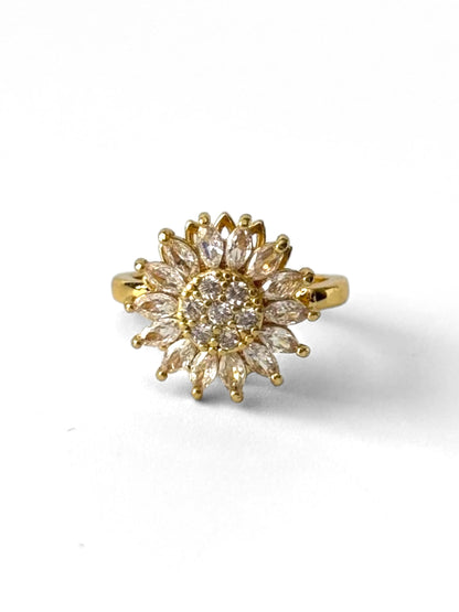 Anillo giratorio #942