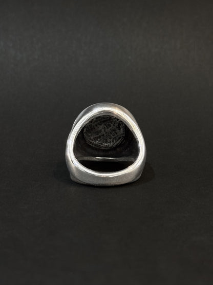 Anillo de hombre en acero vikingo #795