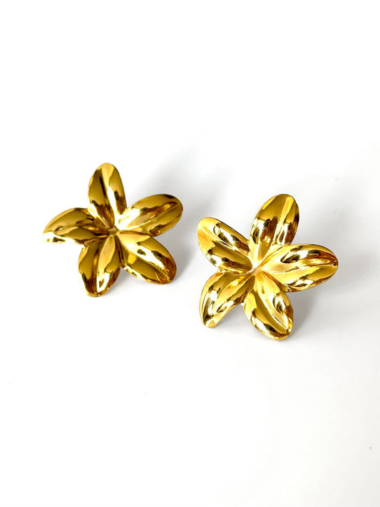 Aros de acero modelo #907 dorado