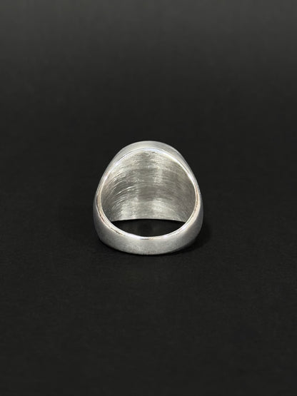 Anillo de hombre en acero vikingo #791