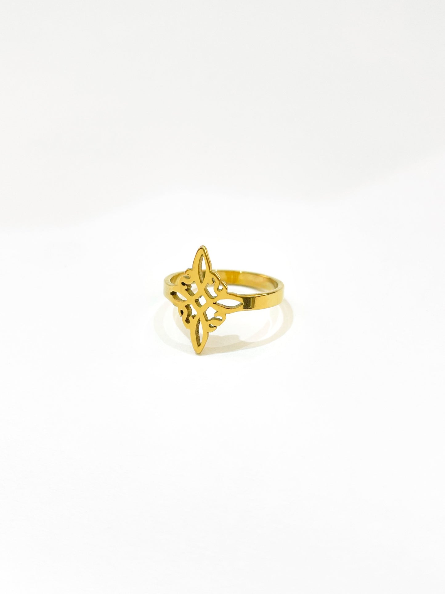 #46 ARGOLLA NUDO DE BRUJA D