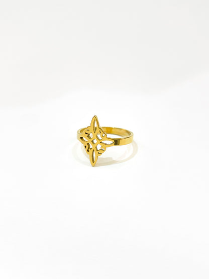 #46 ARGOLLA NUDO DE BRUJA D