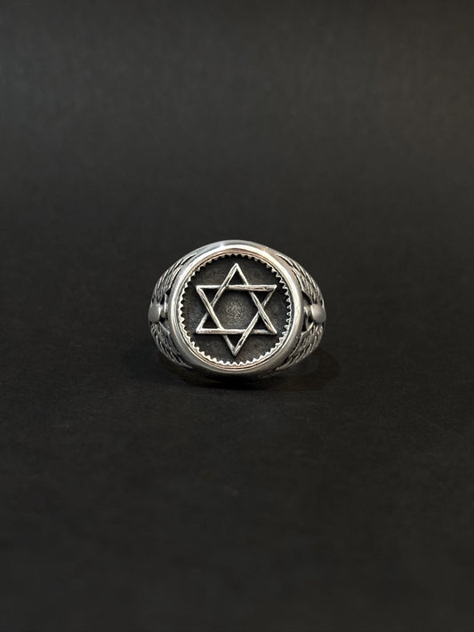 Anillo de hombre en acero vikingo #794