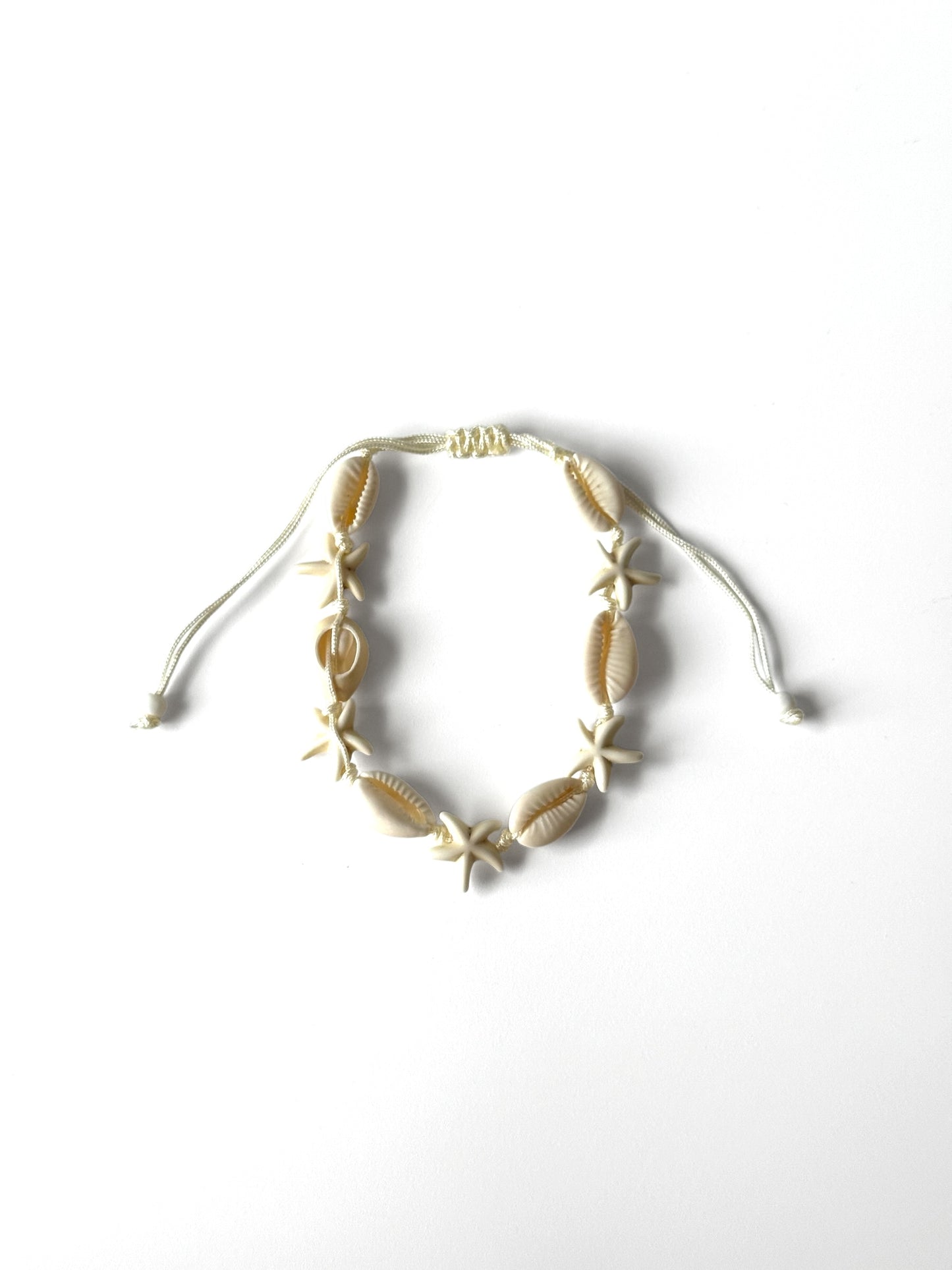 Pulsera de concha con estrella_blanca docena