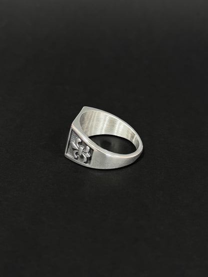 Anillo de hombre en acero vikingo #790