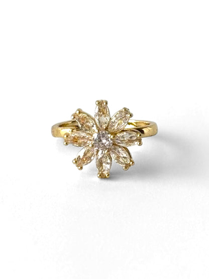 Anillo giratorio #941