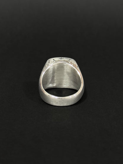 Anillo de hombre en acero vikingo #503