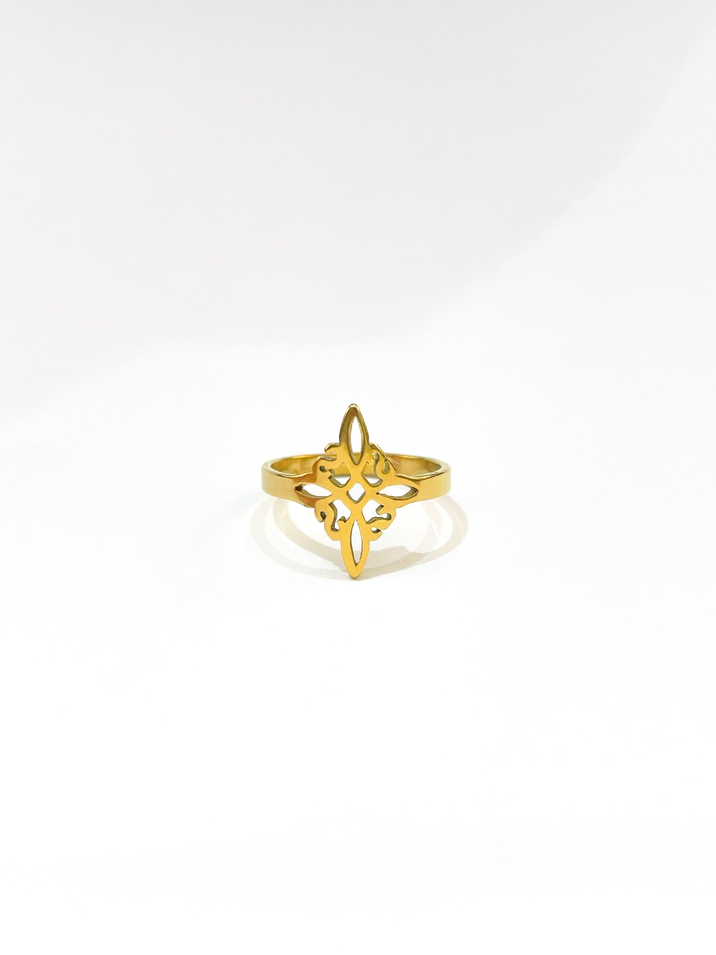 #46 ARGOLLA NUDO DE BRUJA D