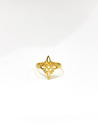 #46 ARGOLLA NUDO DE BRUJA D