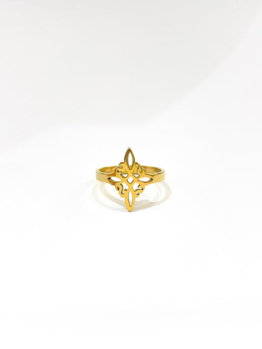 #46 ARGOLLA NUDO DE BRUJA D