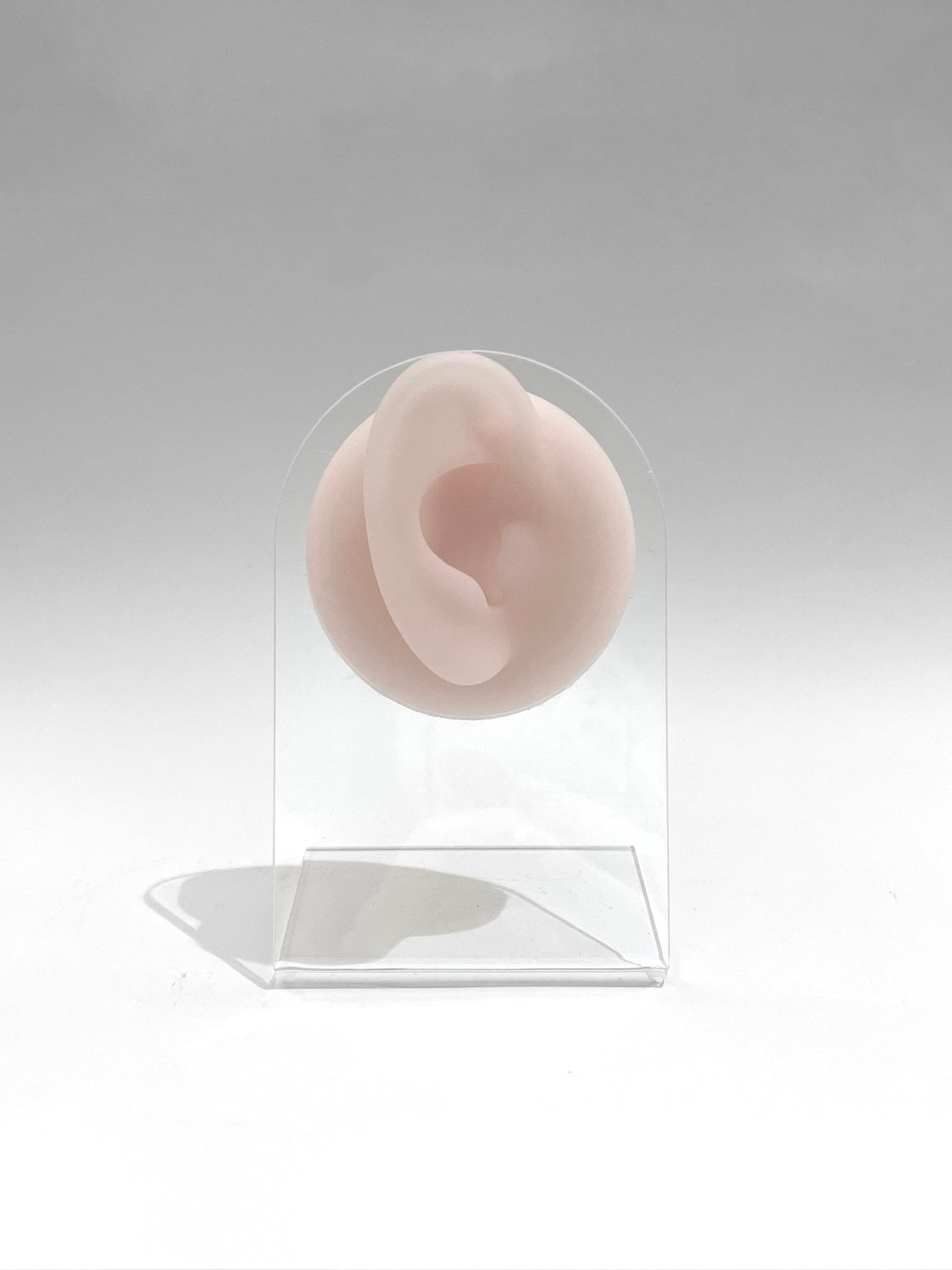 Exhibidor de piercing silicona oreja