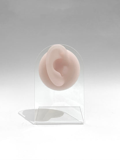 Exhibidor de piercing silicona oreja