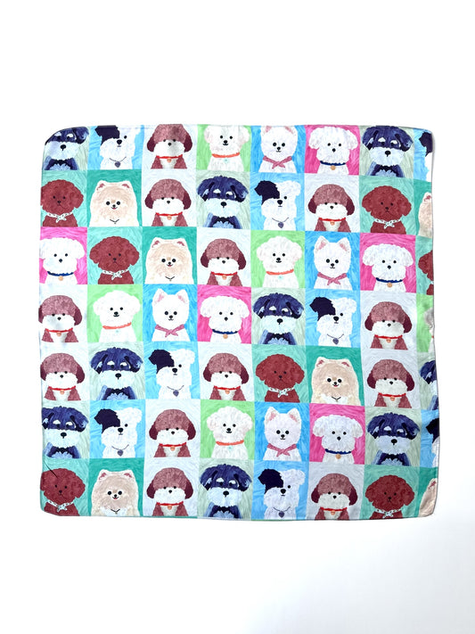 Pañuelo 70X70 #1079