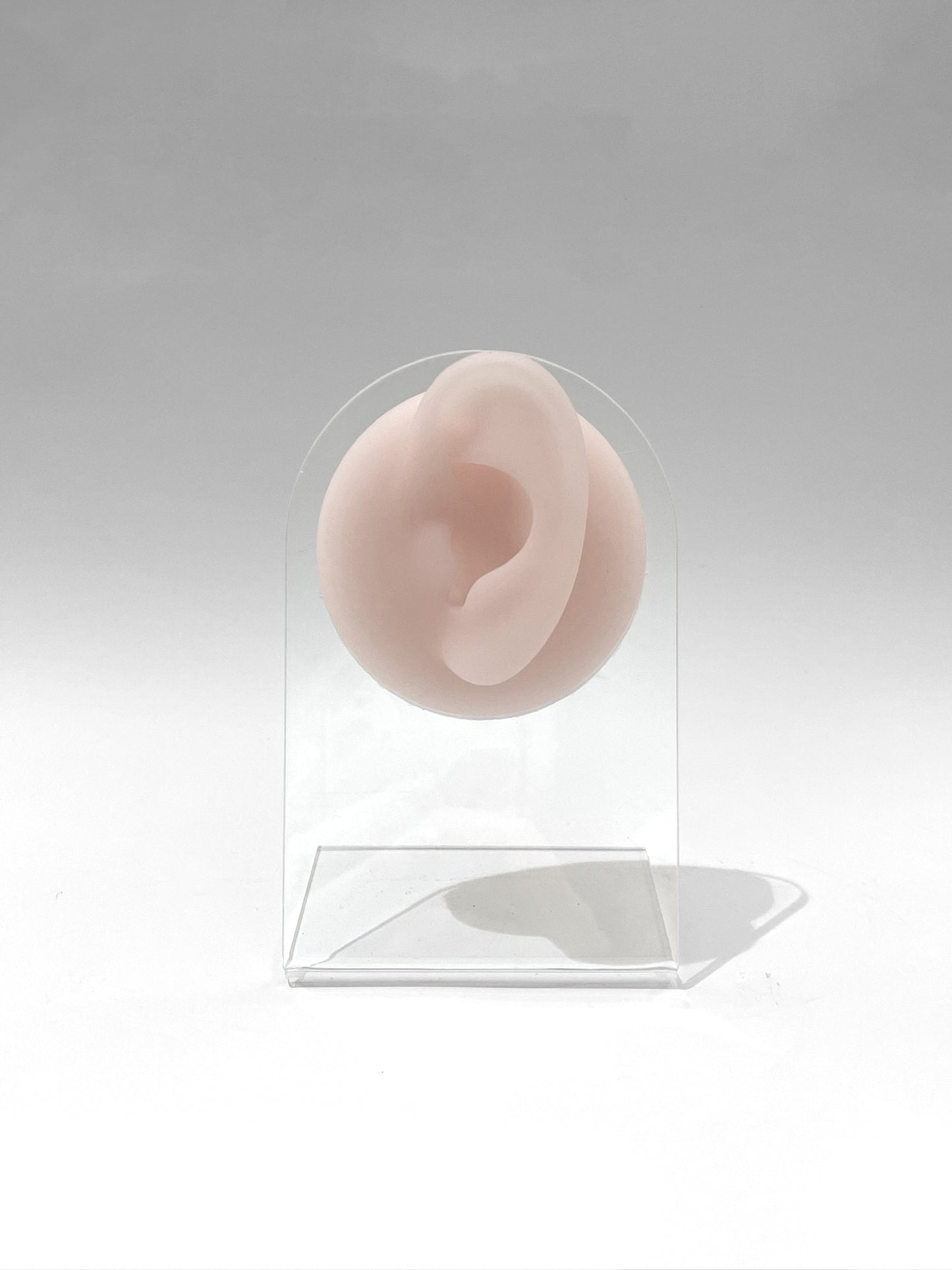 Exhibidor de piercing silicona oreja