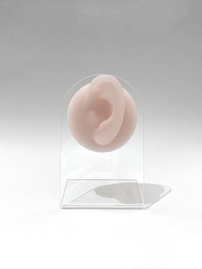 Exhibidor de piercing silicona oreja