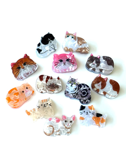 Pinche de gatitos mini (Docena)