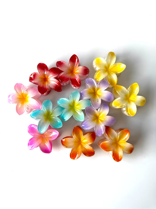 Pinche de flores hawaianas