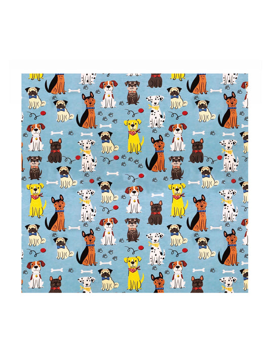 Pañuelo 70X70 (V°55)